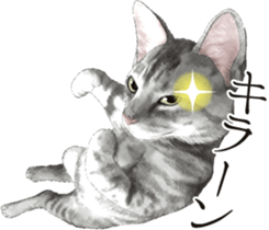 Sticker for people who like a cat sticker #12026851