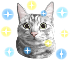 Sticker for people who like a cat sticker #12026852