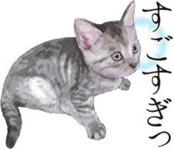 Sticker for people who like a cat sticker #12026854