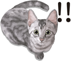 Sticker for people who like a cat sticker #12026855