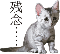 Sticker for people who like a cat sticker #12026858