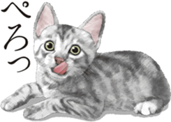 Sticker for people who like a cat sticker #12026860