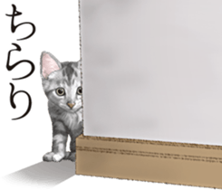 Sticker for people who like a cat sticker #12026861