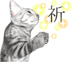 Sticker for people who like a cat sticker #12026862