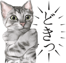 Sticker for people who like a cat sticker #12026866