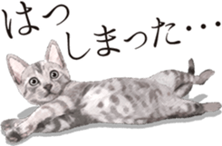 Sticker for people who like a cat sticker #12026867