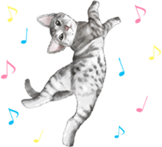 Sticker for people who like a cat sticker #12026868