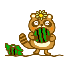 Summer raccoon dog sticker #12032427