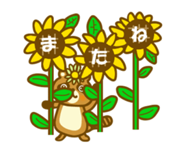 Summer raccoon dog sticker #12032452
