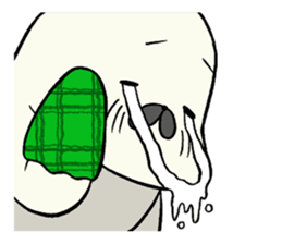 earless seals haveing a turned-up chin sticker #12036701