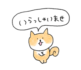 shiba apparel sticker #12036998