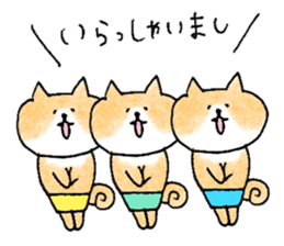 shiba apparel sticker #12036999