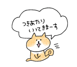 shiba apparel sticker #12037000