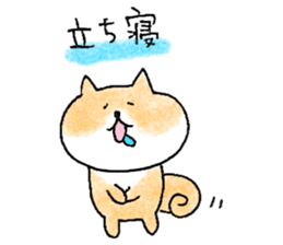 shiba apparel sticker #12037012