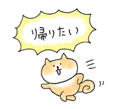 shiba apparel sticker #12037022