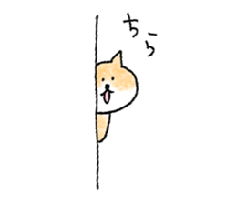shiba apparel sticker #12037030