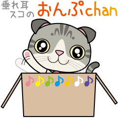 Lop-eared Scottish hold "Onpu-chan"