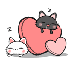 Love Love Love cat's(Animation) sticker #12038514