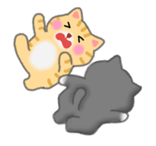 Four plump cats animation sticker #12038601