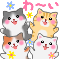 Four plump cats animation