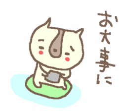 Summer cute cat stickers! sticker #12039160
