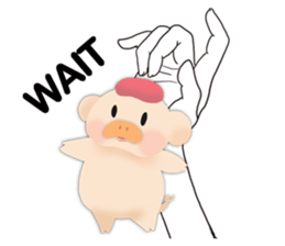 palm-size pig (ENG) sticker #12040592