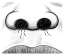 Children father (For overseas) sticker #12041725