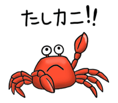 animated 'fish picture book' sticker #12042546