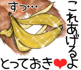 nuikuma summer sticker #12042712