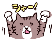 brown tabby and white cat sticker #12042823