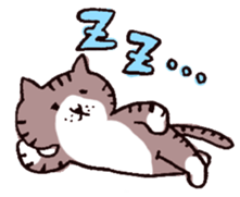 brown tabby and white cat sticker #12042827