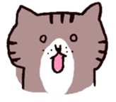 brown tabby and white cat sticker #12042830