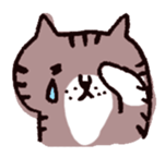 brown tabby and white cat sticker #12042833