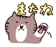 brown tabby and white cat sticker #12042839