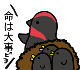 Hanawabashi driveing school sticker #12046604