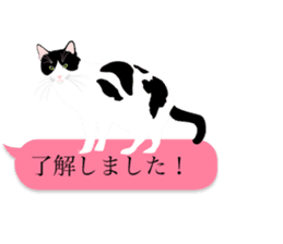 very cute cats sticker #12047533