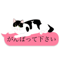 very cute cats sticker #12047534