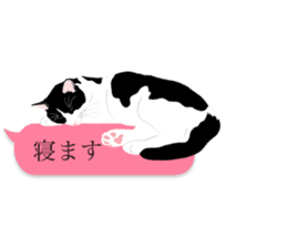 very cute cats sticker #12047535
