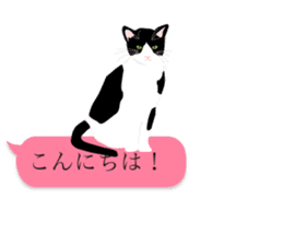 very cute cats sticker #12047551