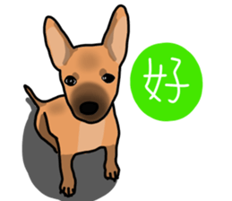 So cute dog (Mix)2 sticker #12049743