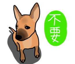 So cute dog (Mix)2 sticker #12049747