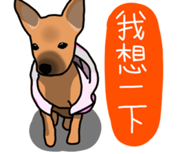 So cute dog (Mix)2 sticker #12049750