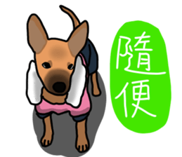 So cute dog (Mix)2 sticker #12049751