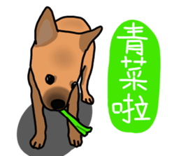 So cute dog (Mix)2 sticker #12049755