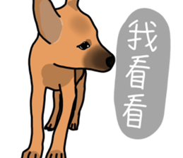 So cute dog (Mix)2 sticker #12049757