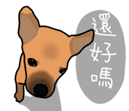 So cute dog (Mix)2 sticker #12049761