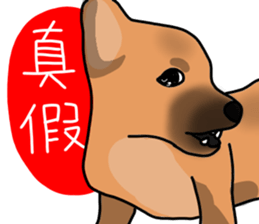 So cute dog (Mix)2 sticker #12049763