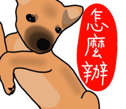 So cute dog (Mix)2 sticker #12049767