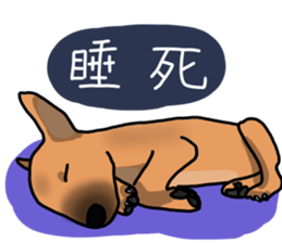 So cute dog (Mix)2 sticker #12049770