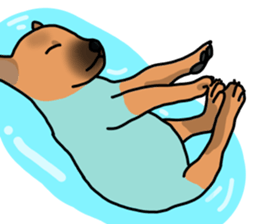 So cute dog (Mix)2 sticker #12049780